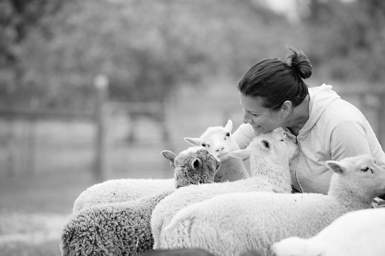 فندق Reves De Moutons باسو روبليس، سان لويس أوبيسبو، كاليفورنيا المظهر الخارجي الصورة