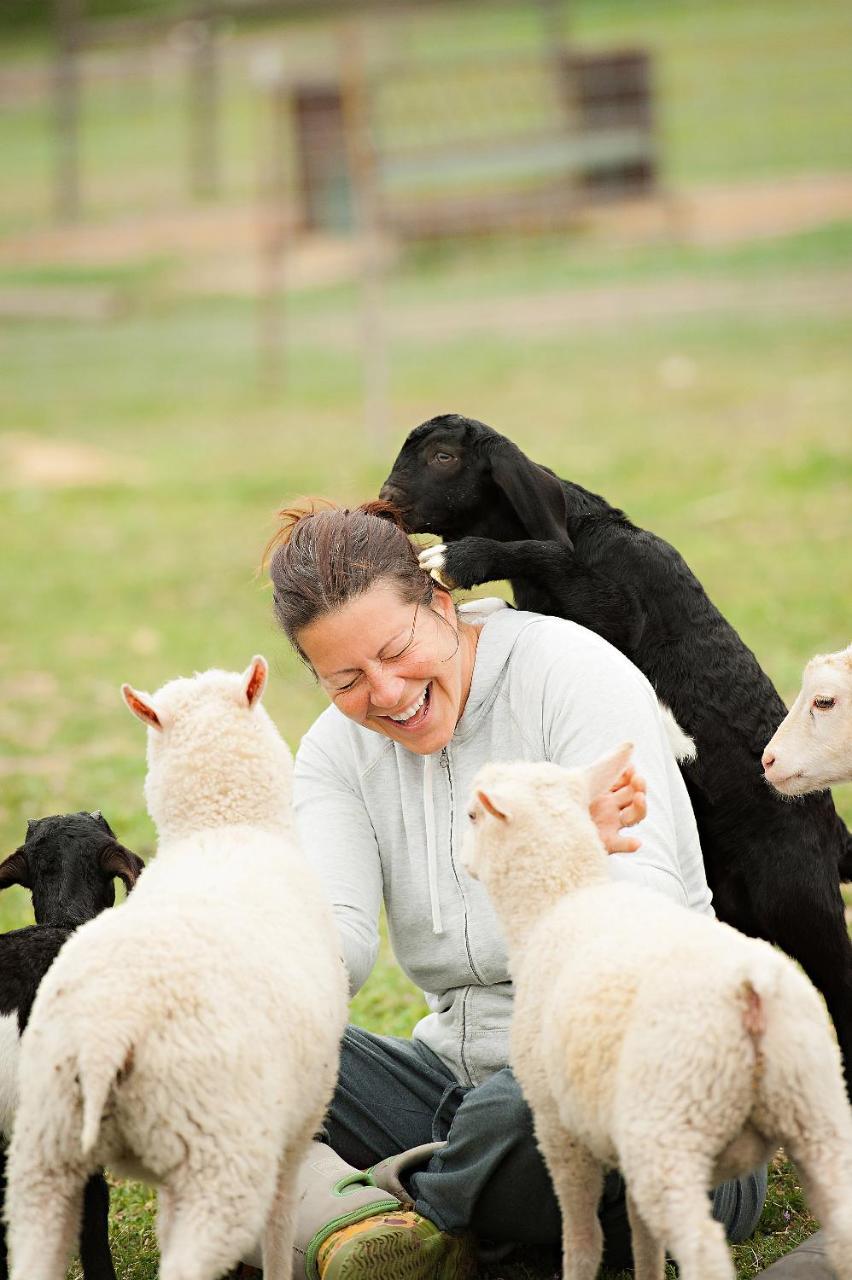 فندق Reves De Moutons باسو روبليس، سان لويس أوبيسبو، كاليفورنيا المظهر الخارجي الصورة